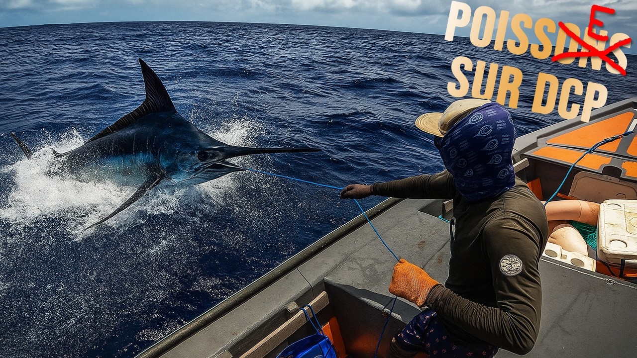 Pêche de Géants sur DCP en Martinique | Combats Épiques contre Thons & Marlin, Qui l'Emporte ? Ep1/2