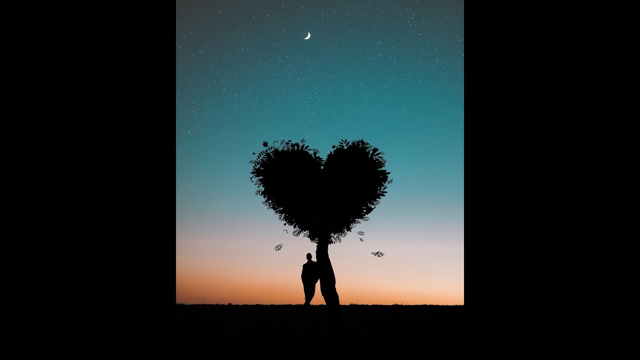 اهنگ شب و تنهای غربت ..