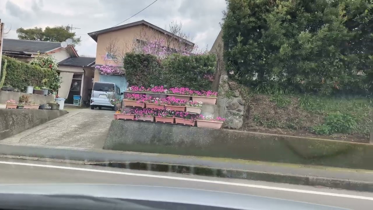 高田みづえさん故郷ドライブ　撮影2025年3月19日12時05分　