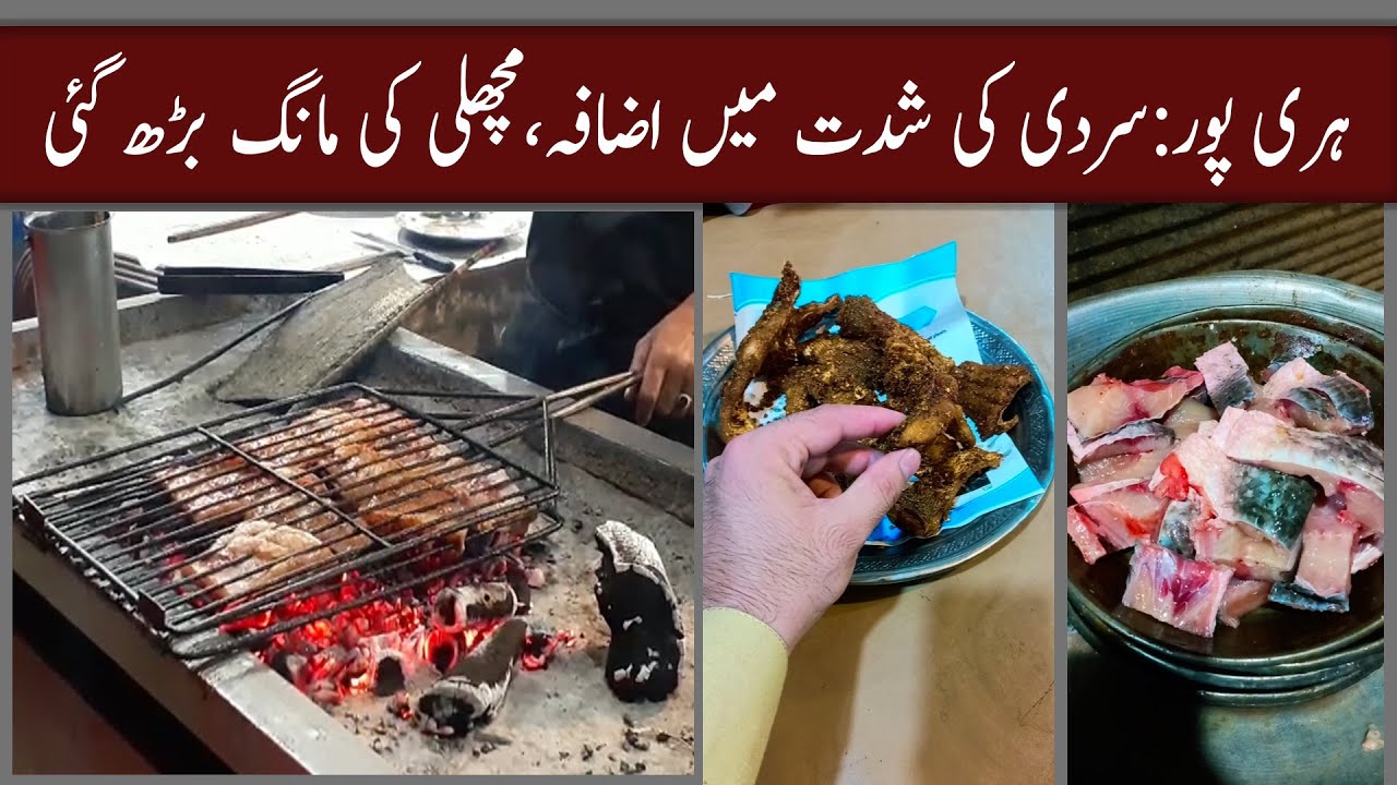 Haripur: Sardi ki shiddat me izafa,machli ki mang me izafa