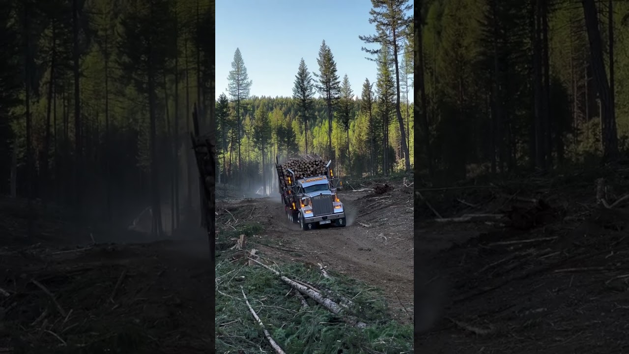 heavy 🪨 haul Kenworth log truck 🚒 #congress 💪