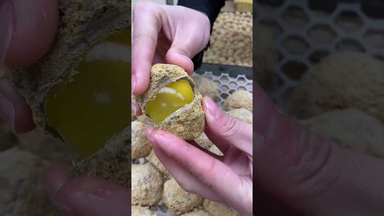 Simple Eggs Mini Vlog