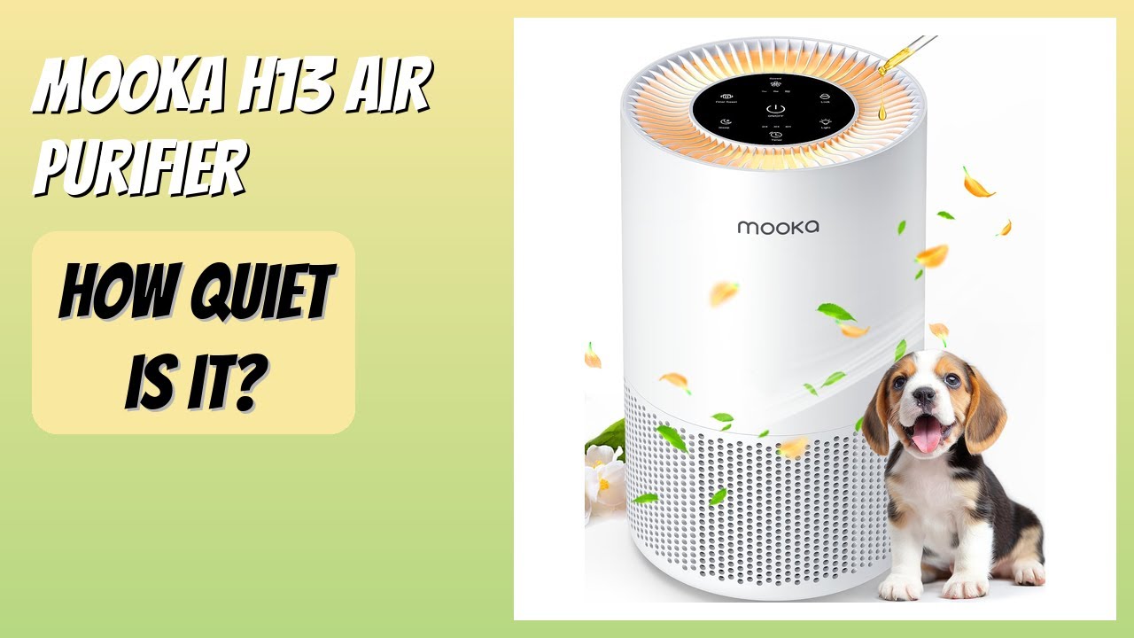 REVIEW (2025): MOOKA H13 Air Purifier. Features