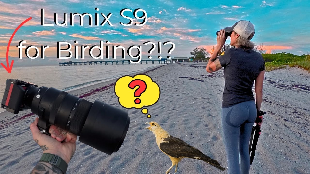 Testing the Lumix S9's Bird Photography Capabilities