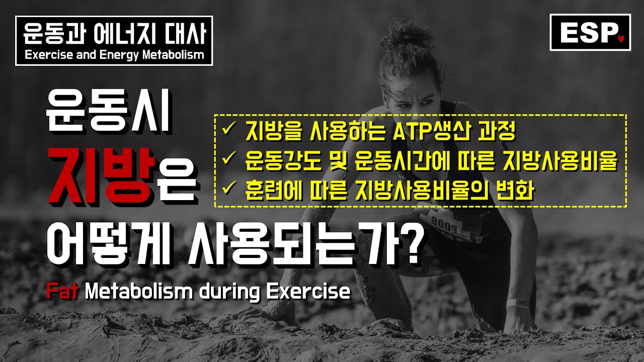 운동시 지방의 대사┃운동과 에너지 대사┃ESP ♥