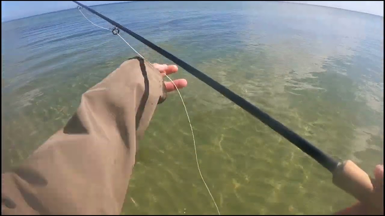 Trocie i belony @DCOFishing