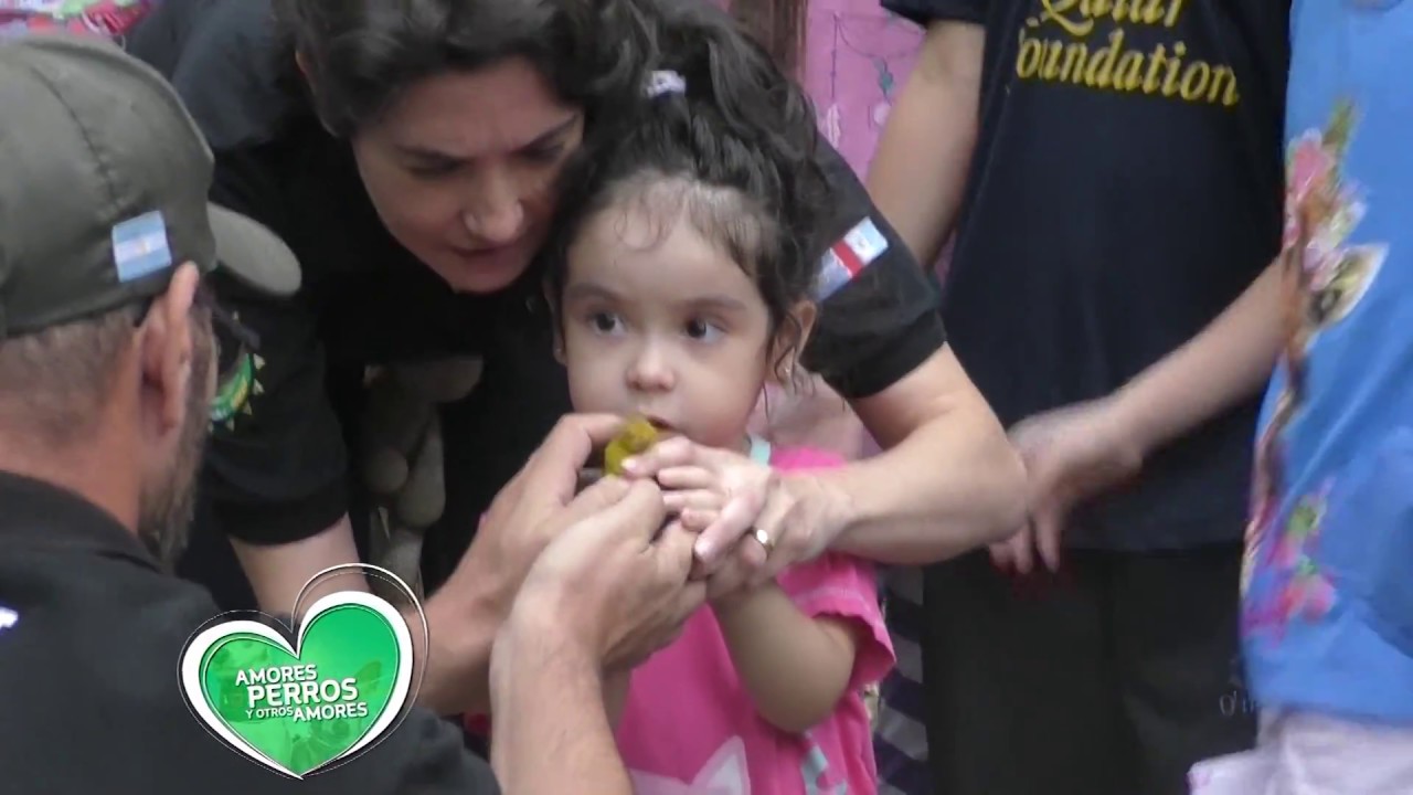 Liberación de Aves en Córdoba