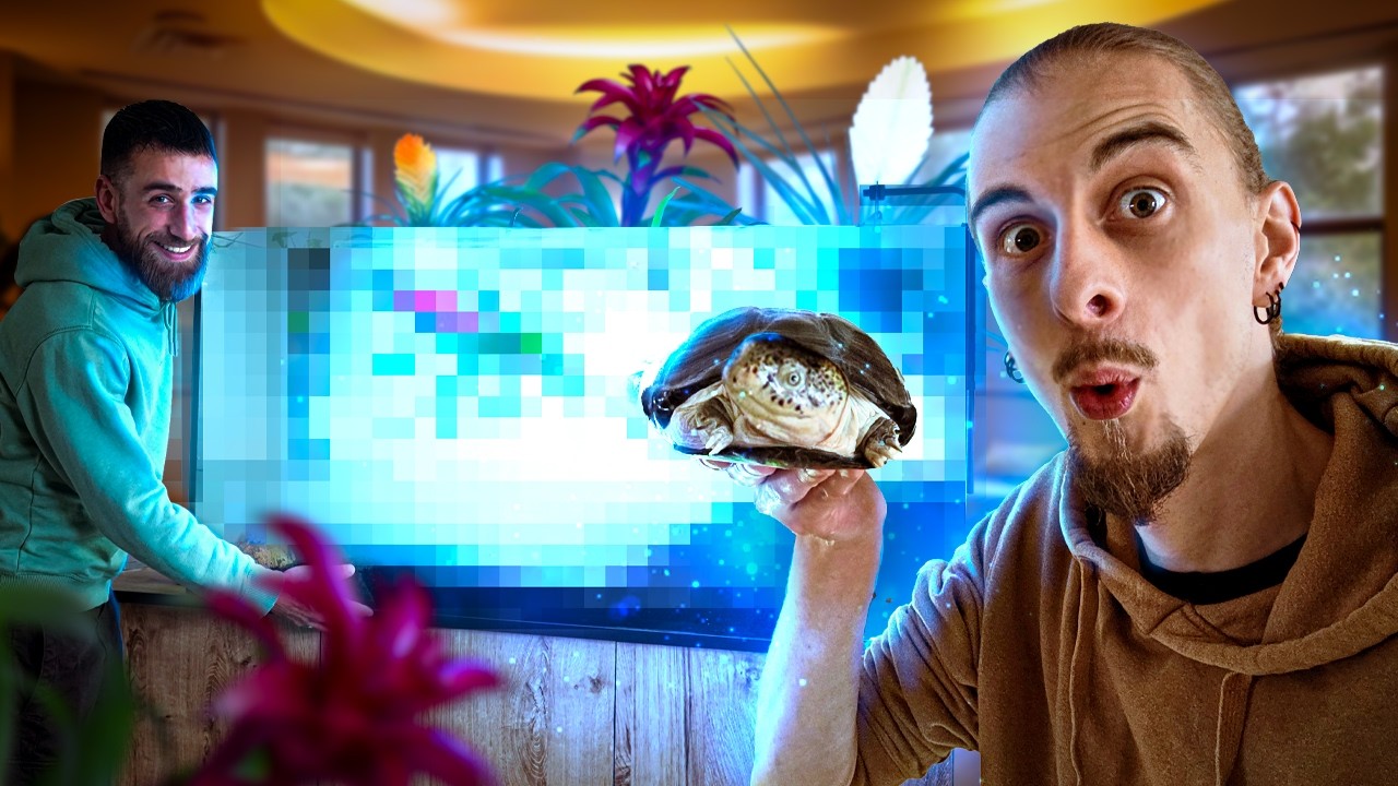 J'ai SAUVÉ une TORTUE AQUATIQUE abandonnée, on FABRIQUE un PALUDARIUM XXL! [ MES BESTIOLES D'ABORD ]