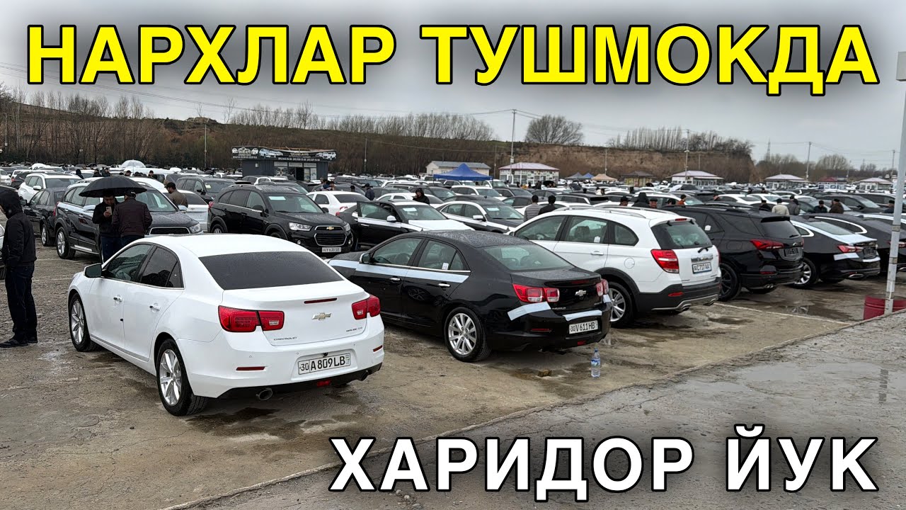 15-MART  SAMARQAND MOSHINA BOZORI 2026. 15-МАРТ САМАРКАНД МОШИН БОЗОР 2026 MOSHINA NARXLARI 2026