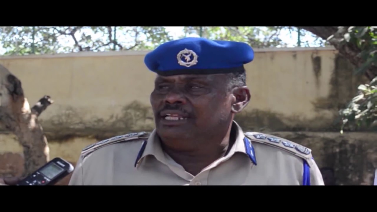 WARKA UNIVERSALTV 15 12 2018