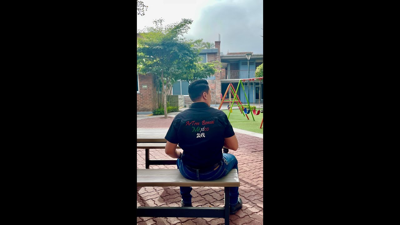 🌳 Cursos de ArTree Bonsai