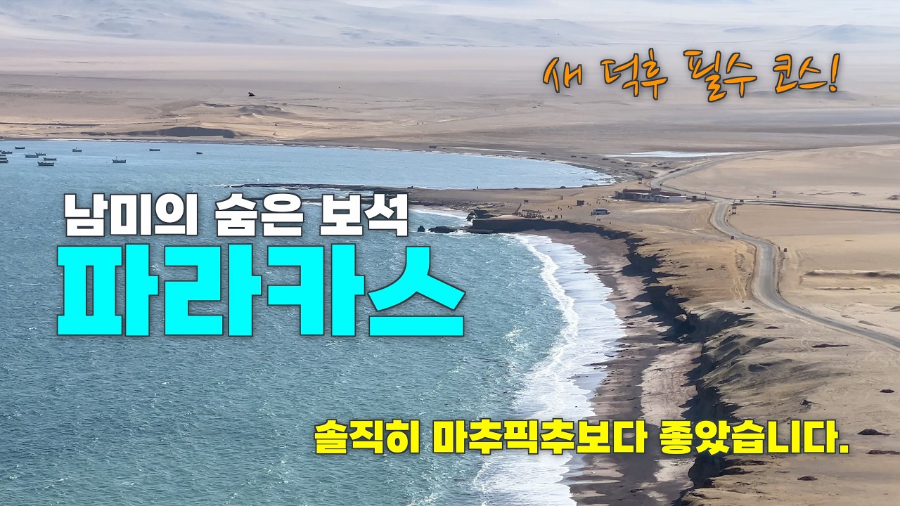 남미의 숨은 보석 파라카스 여행 가이드 | 페루 여행 필수 코스! | 사막과 바다가 만나는 경이로운 풍경 | 페루의  갈라파고스 #파라카스#PARACAS