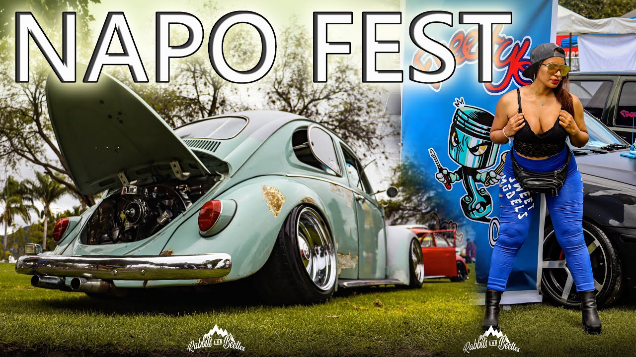 🔴Napo fest | vochos por todos lados 
