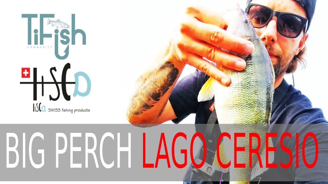 BIG PERCH / Testiamo le gomme della REINS nel lago Ceresio