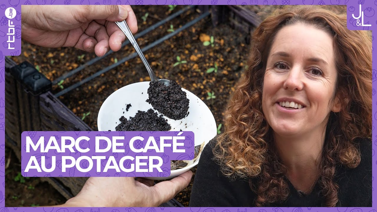 Marc de café au potager : un engrais naturel | Jardins et Loisirs
