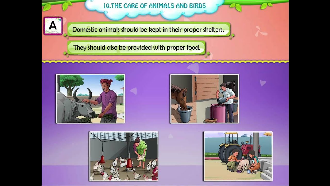 Learn Grade 2 - EVS - How to Take Care of Animals and Birds