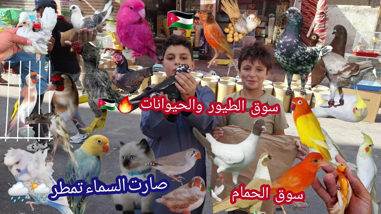 سوق الطيور والحيوانات والخضرا واسعارها شوفو كيف صارت تشتي تمطر السماء علينا 🔥😍🥰💦🌧🌦