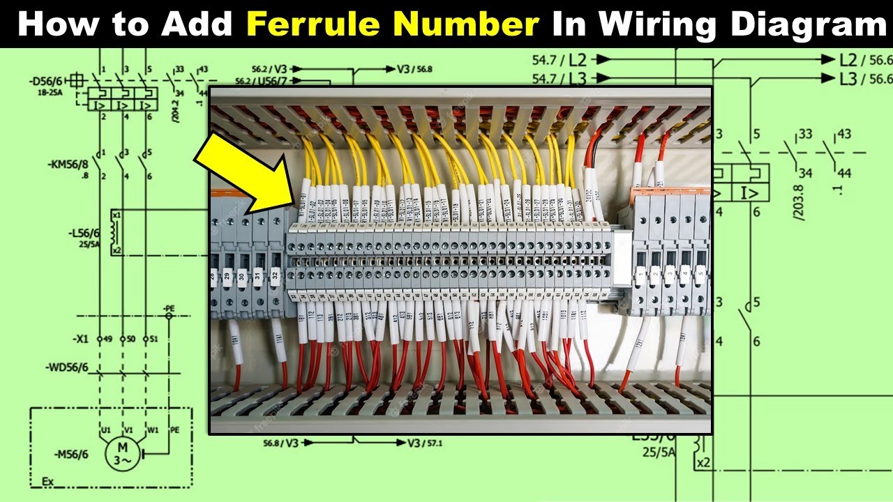 How to Add Ferrule Number In Electrical Wiring Diagram @Electrical Technician