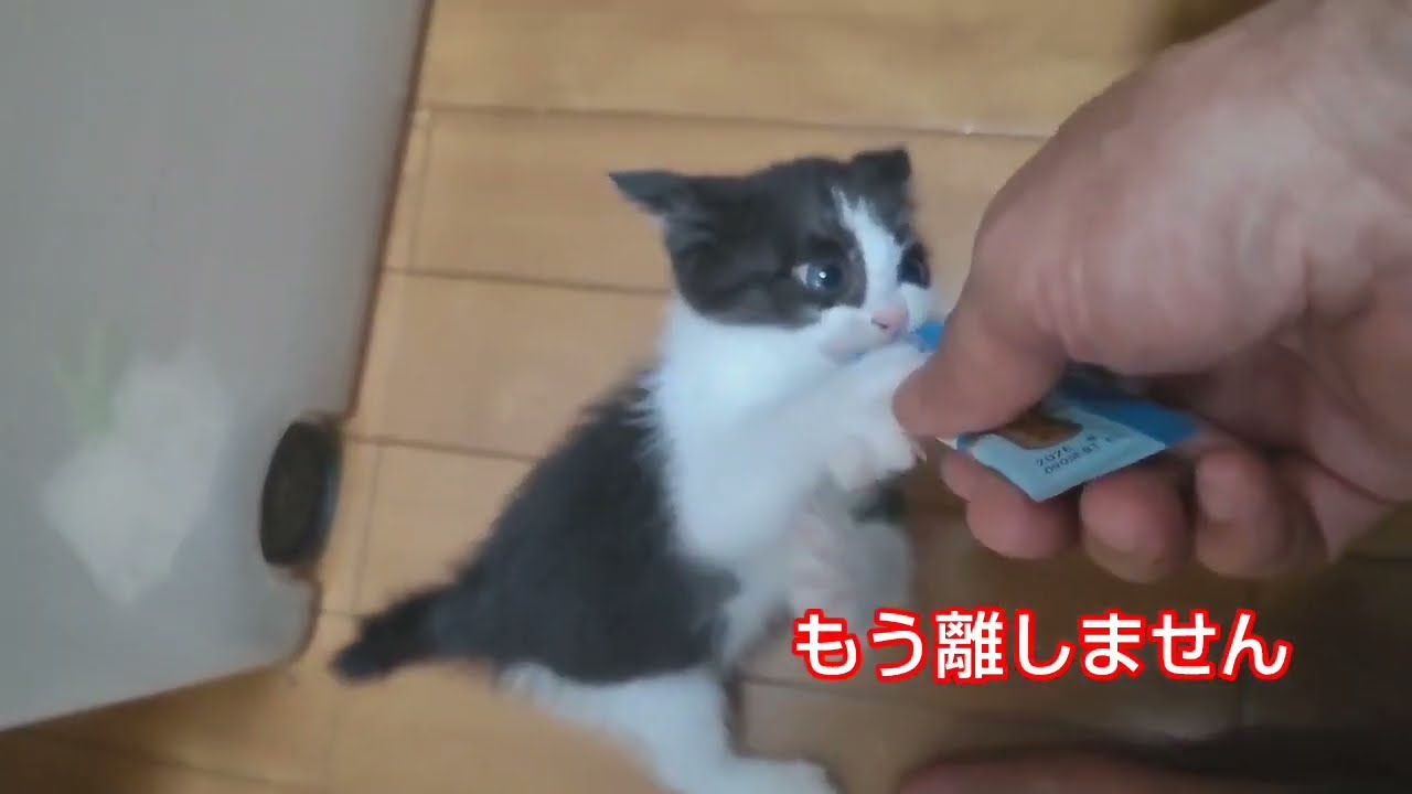 Первый перекус Наны