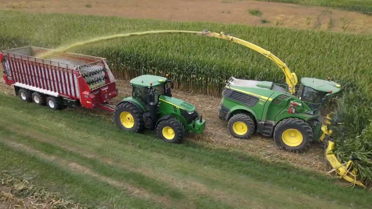Chopping Corn 2025