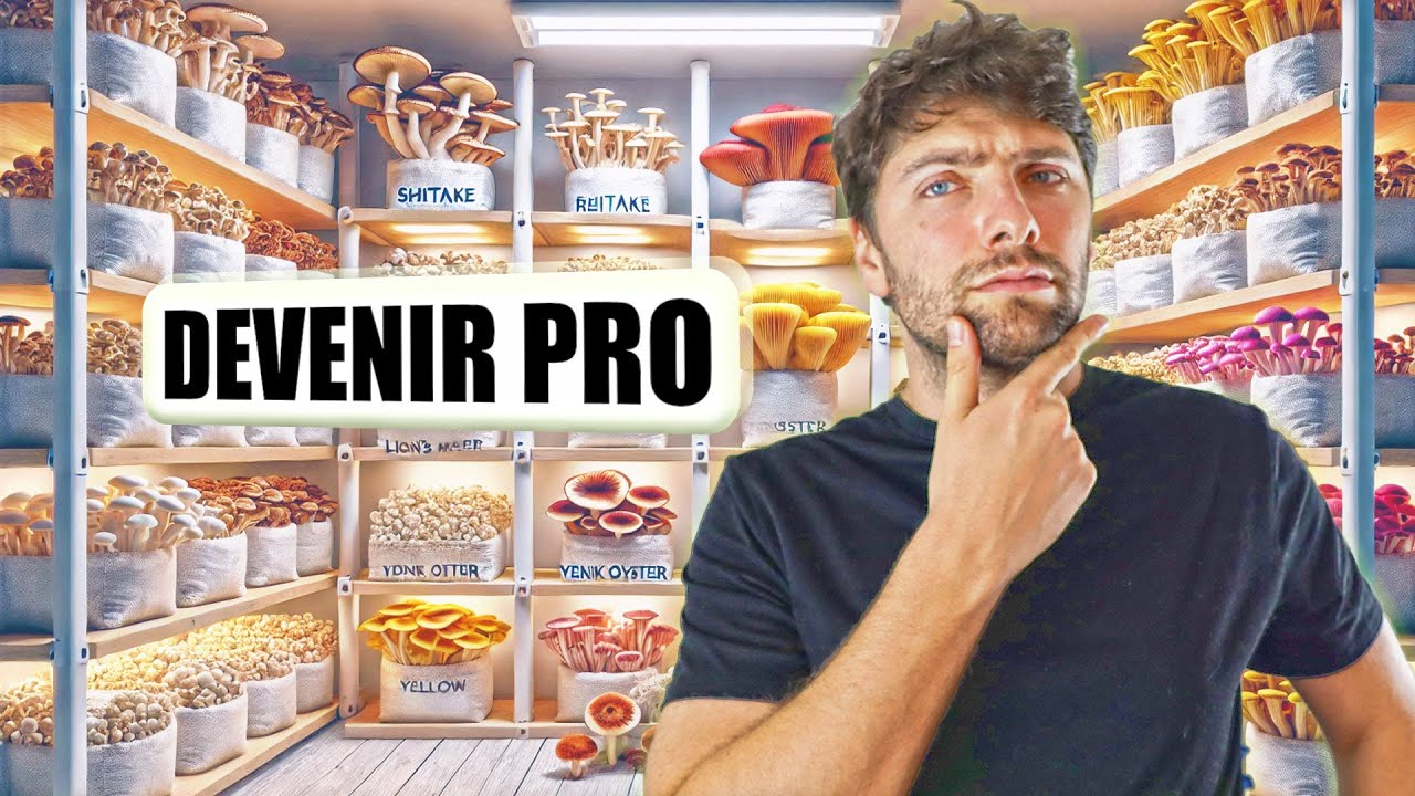 🍄 Devenir MYCICULTEUR PROFESSIONNEL en 5 &Eacute;TAPES