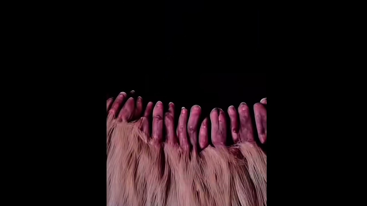 👁️ &iquest;Te has preguntado c&oacute;mo se ve el ojo humano a 1000x de aumento?