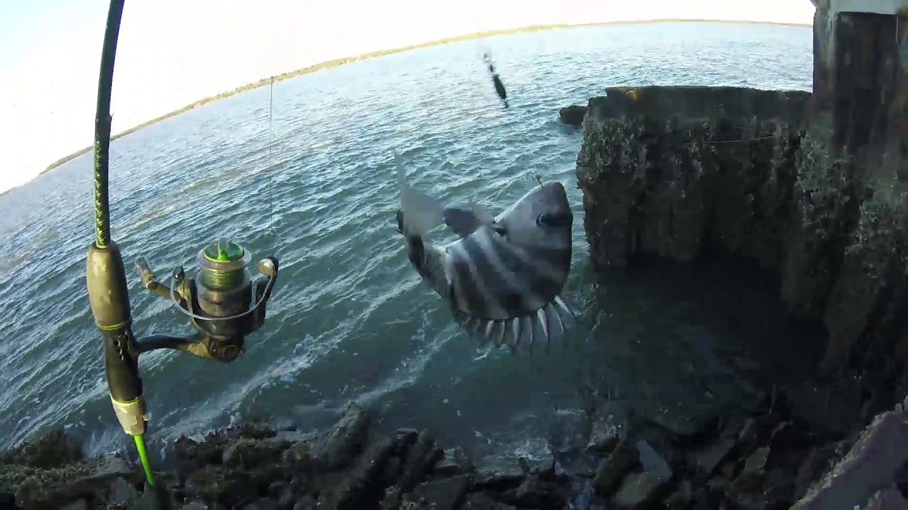 Work Week Breaks Means, Sheepshead Week!