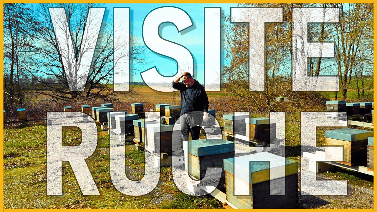 1&egrave;re Visite : que faire et NE PAS faire  [S10E06]