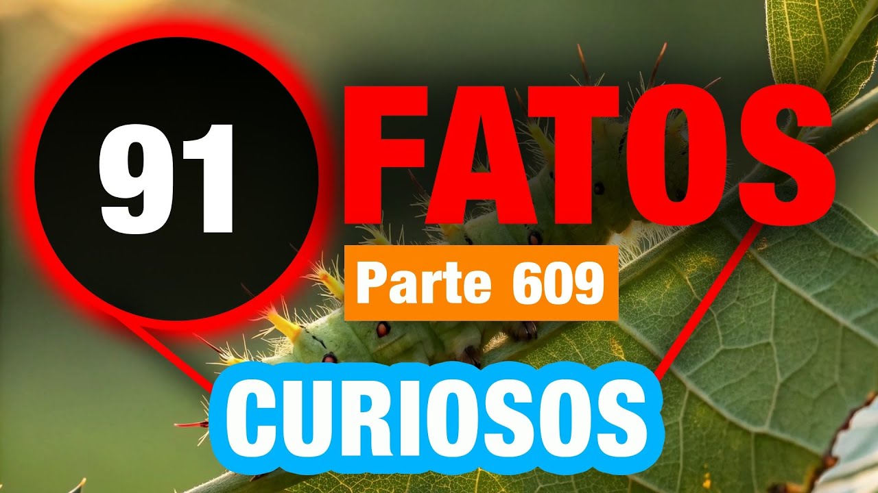 91 Fatos Magníficos