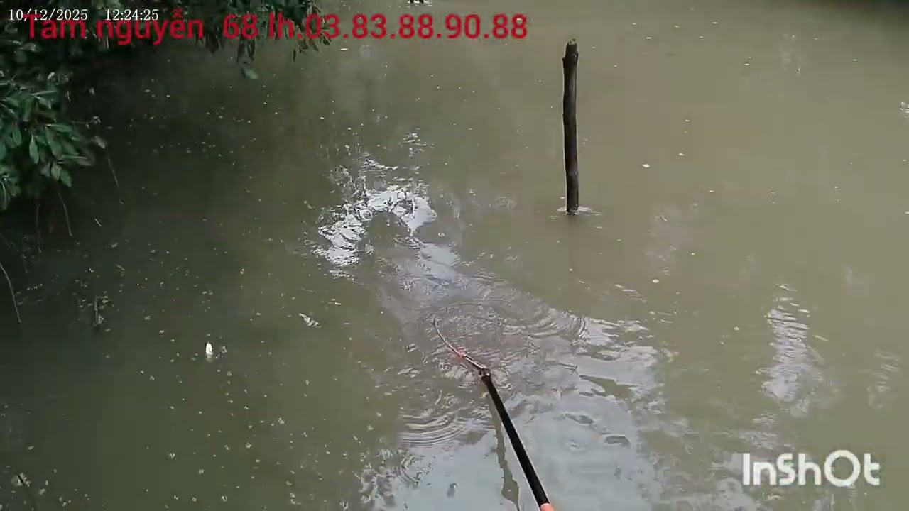 Thực  tế 46f chuyên  mặn - lợ ..cho a đạt vũng tàu..a e cần  lh 03.83.88.90.88 