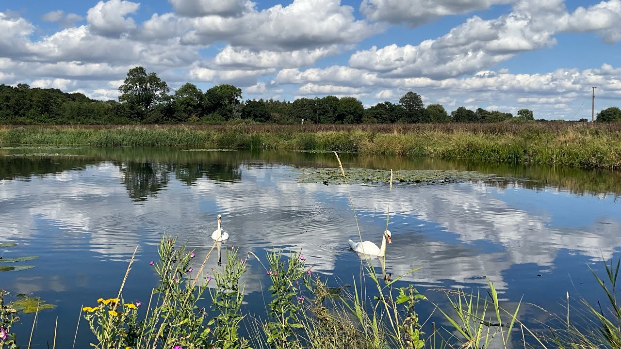 Carp hunting with the drone Carcroft lily pond 13th Aug 23