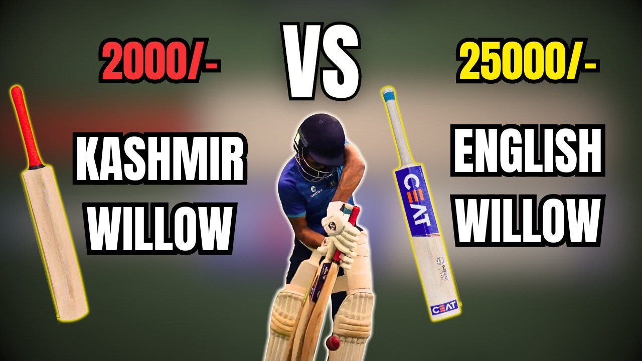 Почему индийские игроки в крикет предпочитают биты из английской ивы, а не из кашмирской