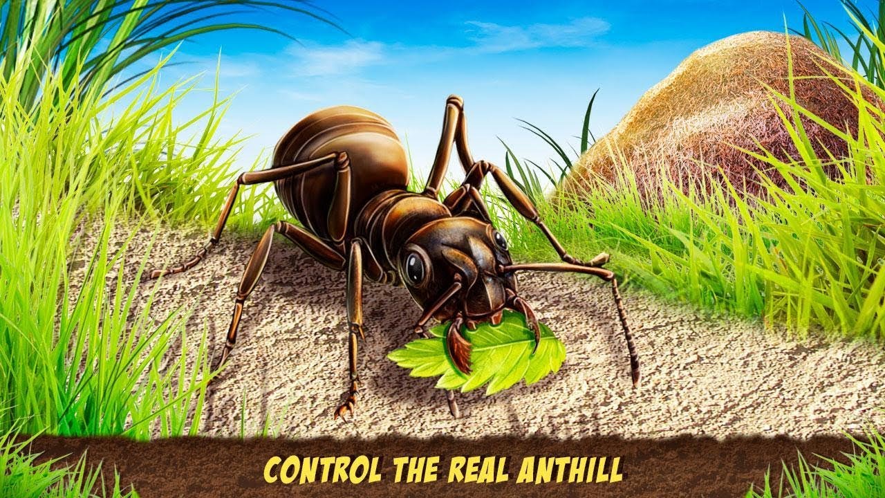 Ant Empire Simulator Undergrowth Survival-By My Pocket Animals Studio