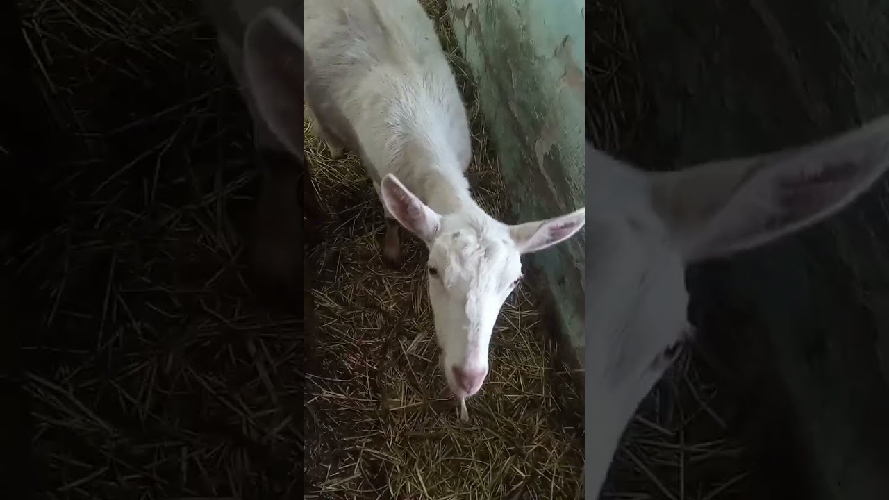 Всем привет, поговорим обо всём и не только 