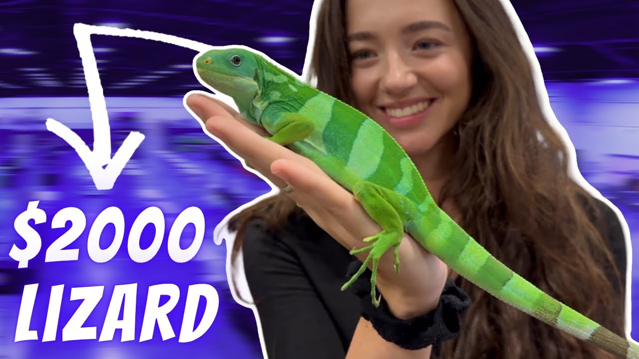 В поисках РЕДКИХ РЕПТИЛИЙ на выставке рептилий в Торонто!