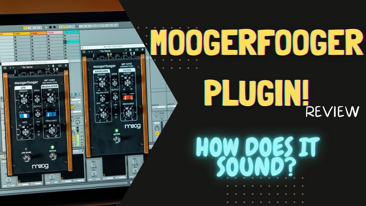 Moogerfooger PlugIn First Look