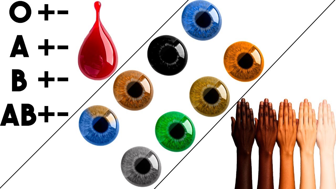 Все ваши скрытые преимущества: группа крови, глаза и цвет кожи.