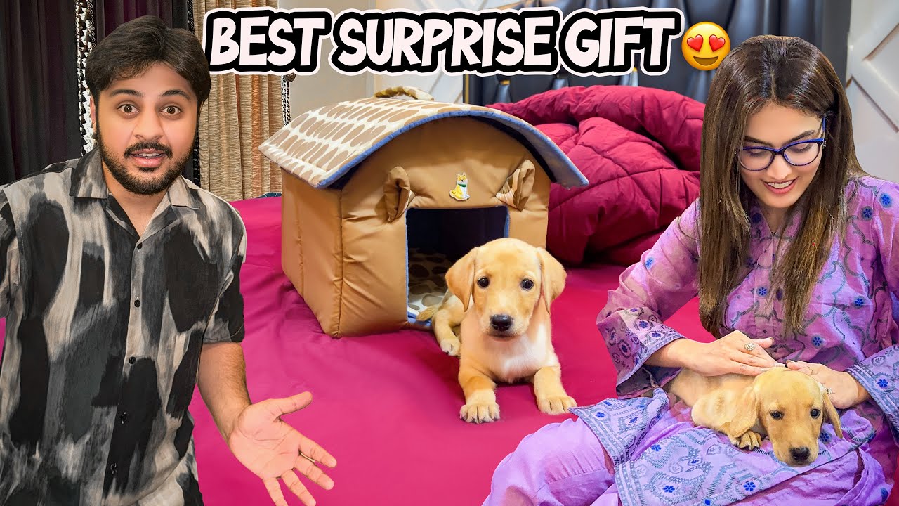 GHAR MAI NEW MEHMAAN AGYA 🥺🐶 | Iqra & Ghar Walon Ka Reaction 😍