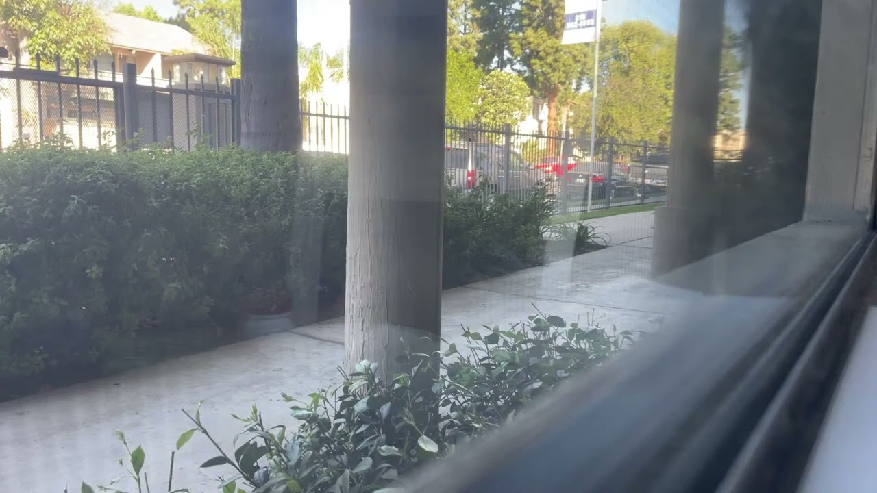 Highlight 13:55 - 18:55 from Good Morning