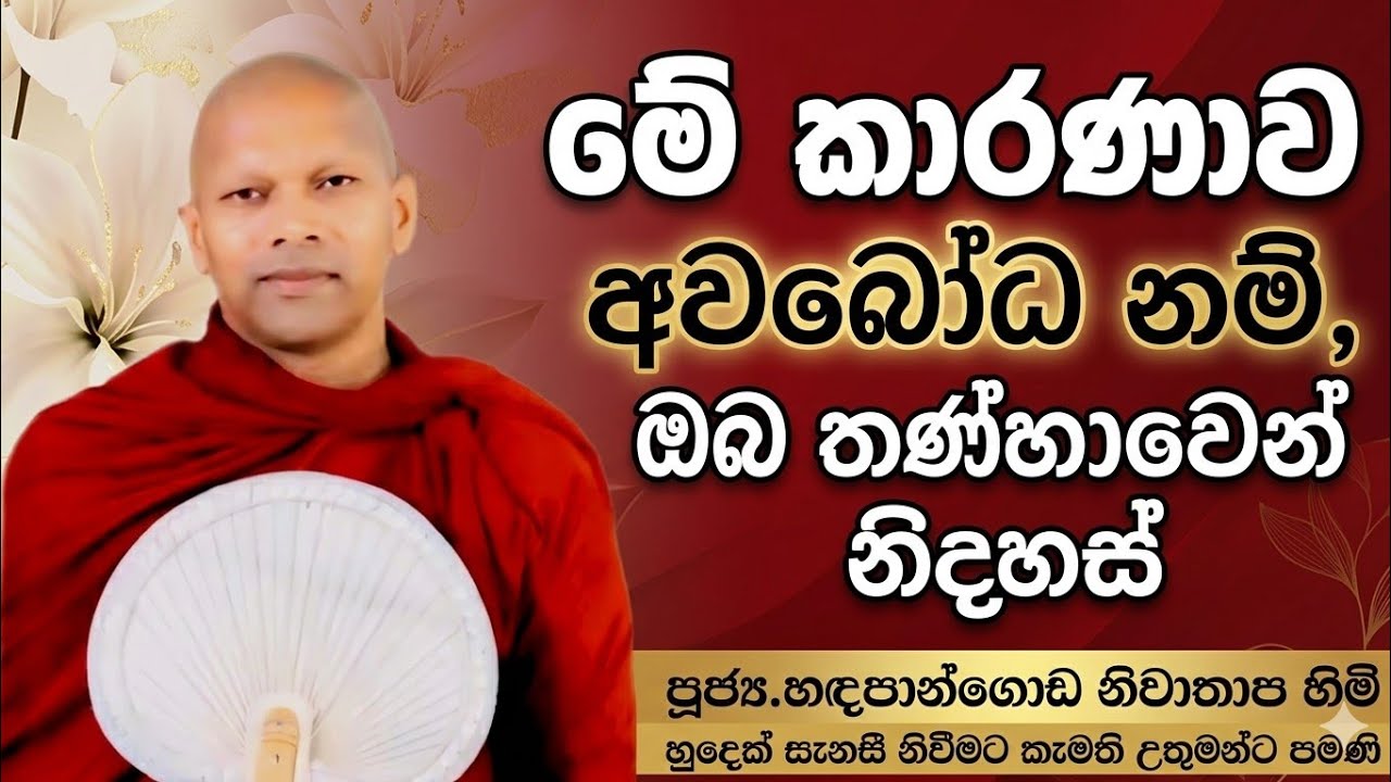 මේ කාරණාව අවබෝධ නම් ඔබ තණ්හාවෙන් නිදහස් #ven.Hadapangoda Niwathapa thero#dharmayai obai #pahura