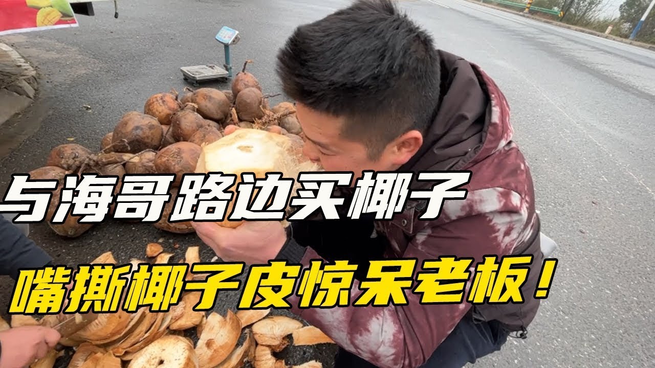 和海哥出门放风，路边买椰子，自己用嘴撕皮惊呆老板【海派高手】