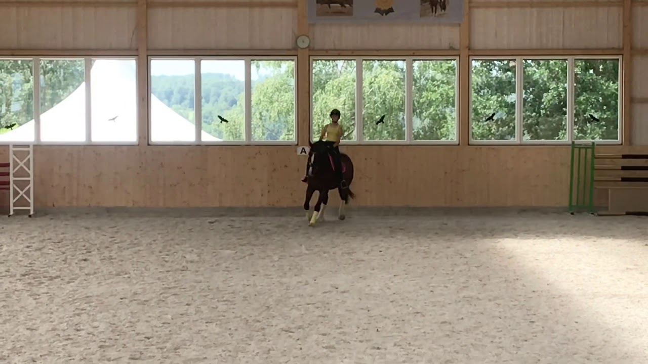 Angelina Kehr, Royal Pleasure, M4