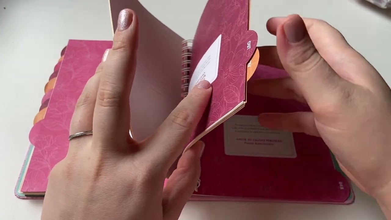 PLANNER 2026 • Organização desse ano! 