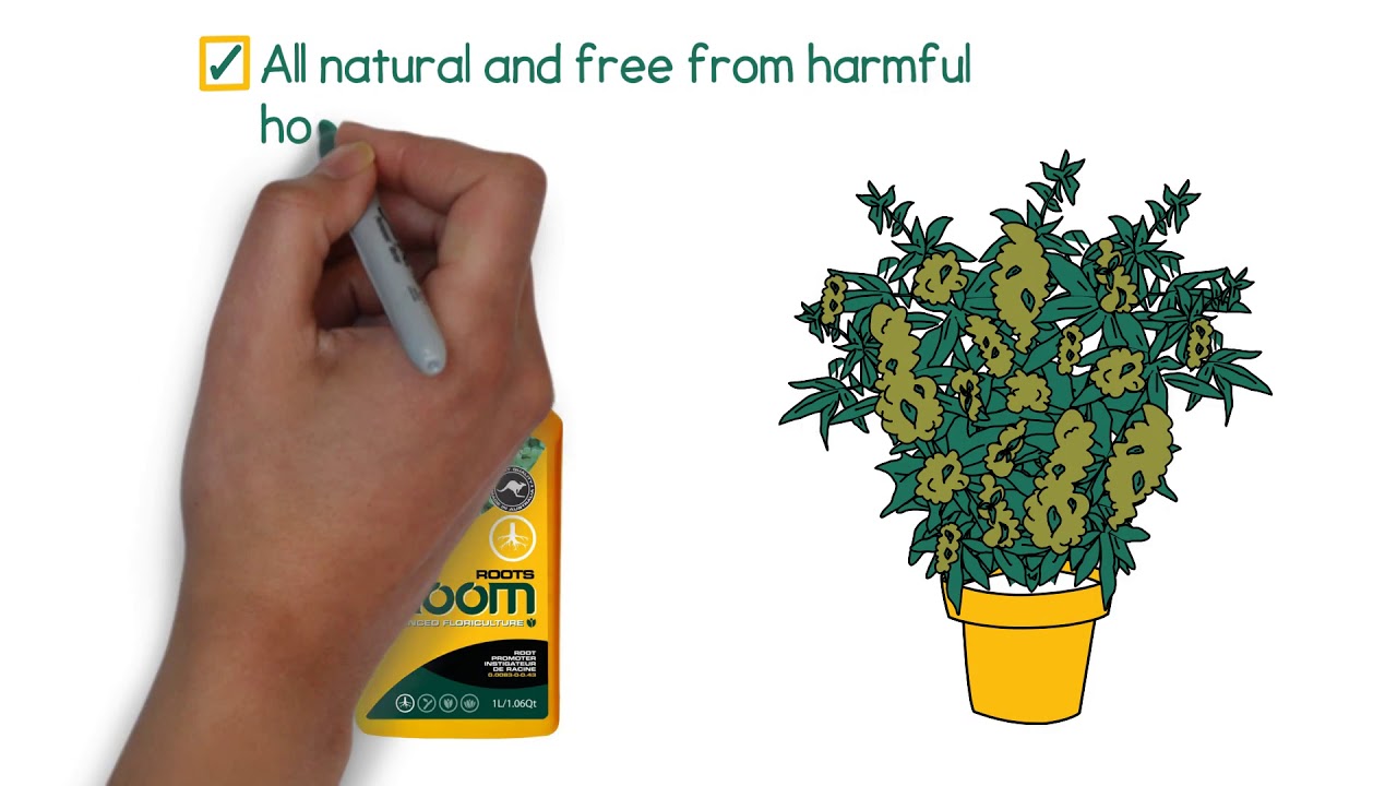 Bloom Roots - Product Video