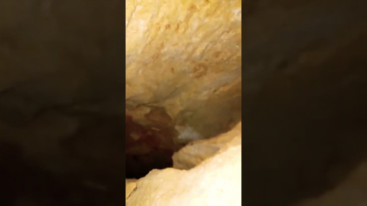 I got lost while exploring an old mine 