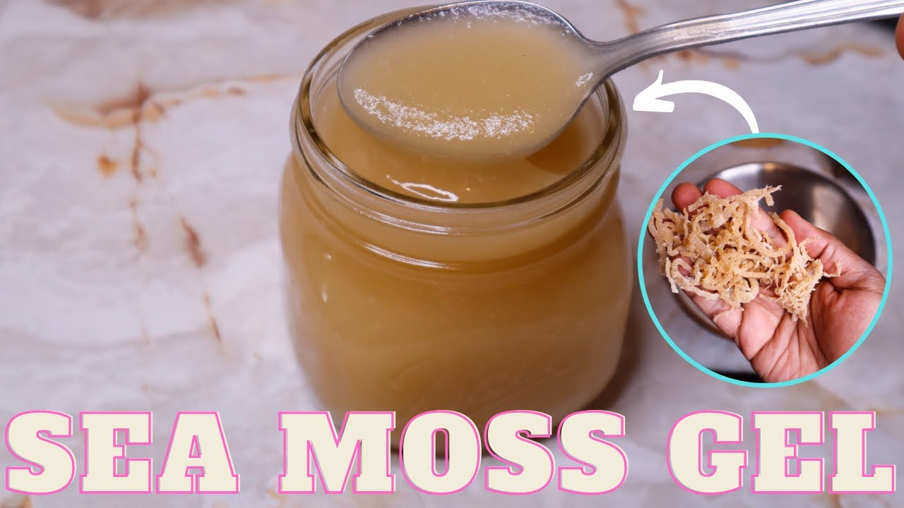 How To Make Sea Moss Gel at Home | Health Benefits & Uses