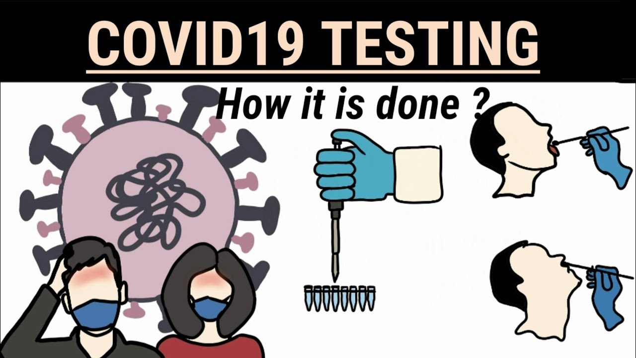 Coronavirus real time RT-PCR Test - Animation video