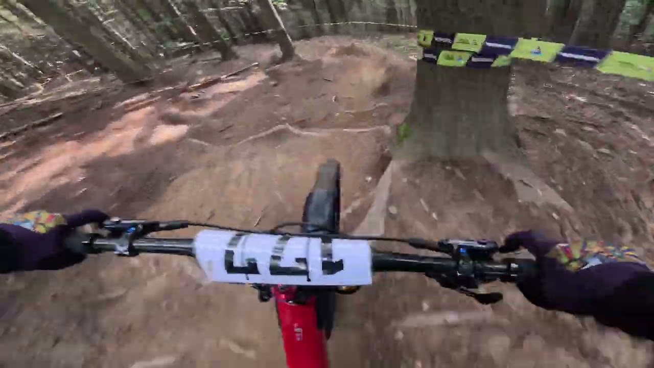 Kasina - Dzika - Finał Pucharu Pingwina 2024