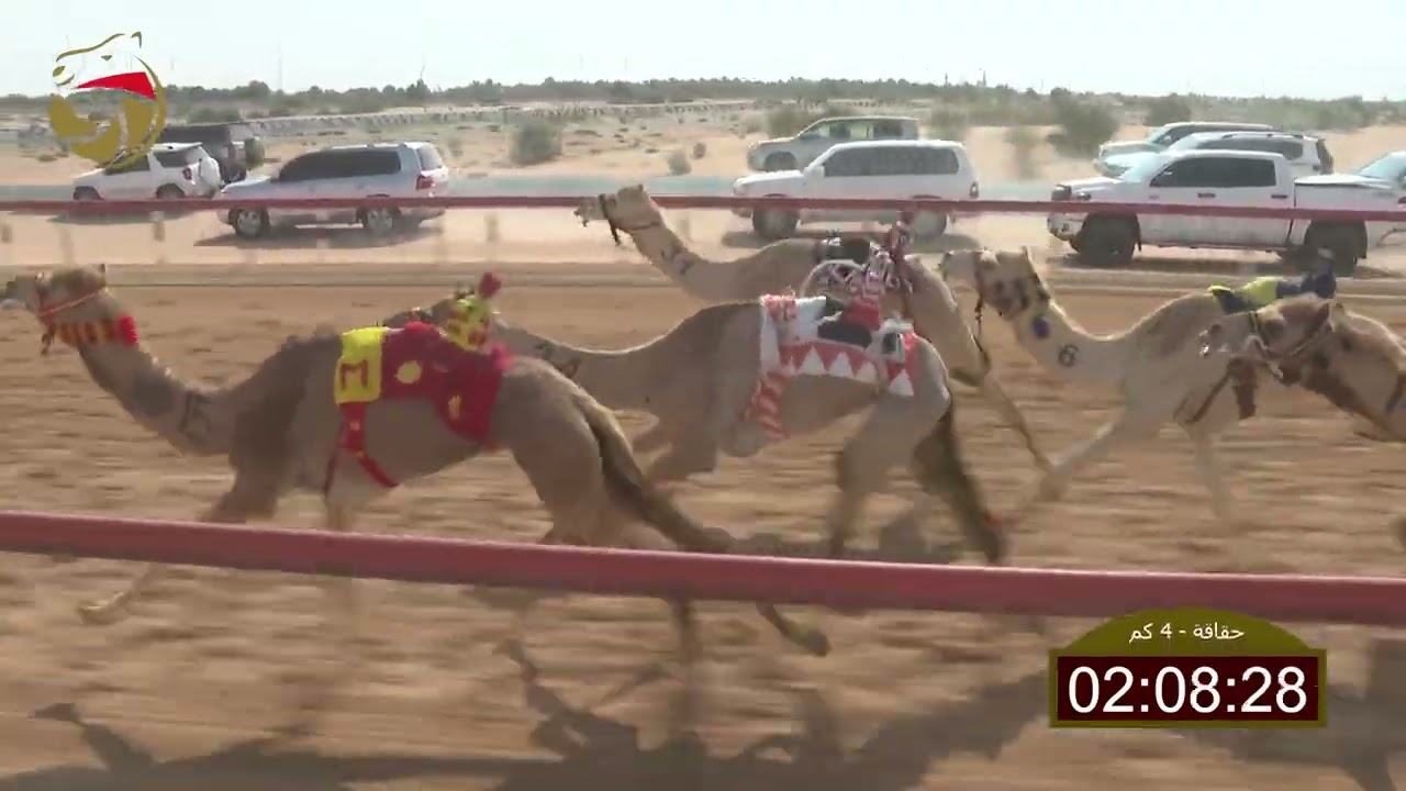 سباق الحقاقة – لهباب 01-03-2026 ش9 عوايد لـ محمد مطر محمد دحروي العامري  5:57
