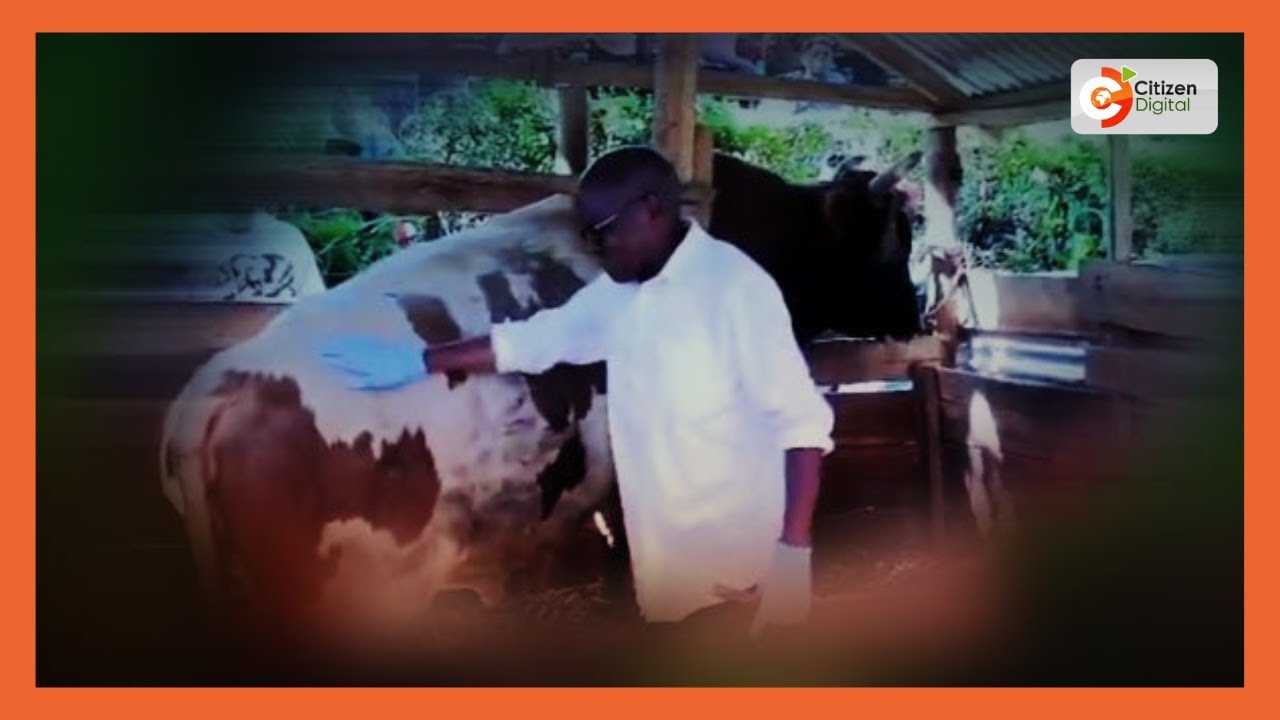 Postmortem examination confirms Senator Khalwale's caretaker was killed by a bull